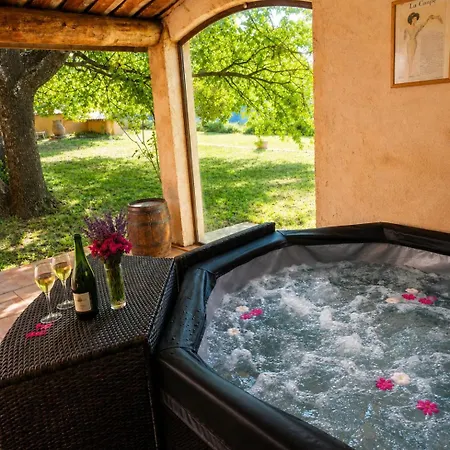 Mas Provencal - Privatif - Jardin *