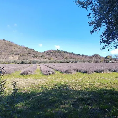 Mas Provencal - Privatif - Jardin Malijai