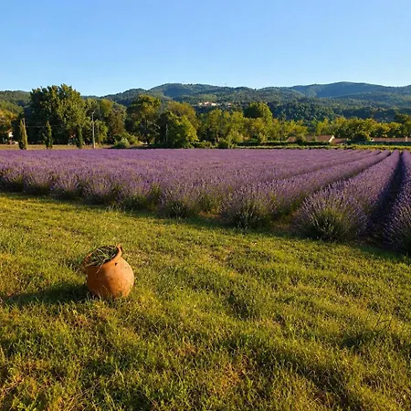 Villa Mas Provencal - Privatif - Jardin *